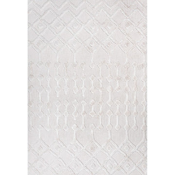 Peralta Moroccan Diamond Indoor/outdoor Area Rug